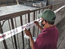 En el lugar se impusieron sellos de clausura y se acordonó con cinta uno de los sitios de resguardo de los animales. ESPECIAL/ Proepa Jalisco