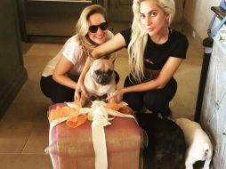 Un hombre disparó al paseador y se llevó a dos perros llamados Koji y Gustav. INSTAGRAM