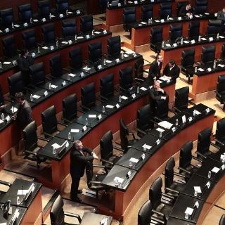 Reforma eléctrica: senadores interpondrán recurso de inconstitucionalidad
