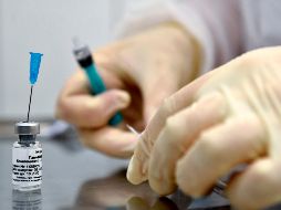 La investigación se basa en el desarrollo de vacunas para animales que el investigador Juan Joel Mosqueda Gualito inició hace 20 años. AFP / ARCHIVO