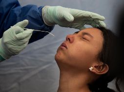 Deben seguirse haciendo el mayor número de pruebas posibles ante el repunte de casos de coronavirus, señala la OMS: AP / ARCHIVO