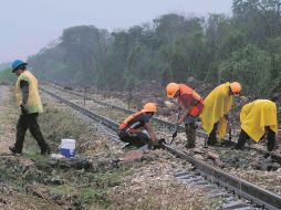 El Gobierno federal ha defendido que el Tren Maya generará miles de empleos y derrama económica, pero sus opositores señalan daños al medio ambiente y critican injerencia militar en el proyecto. EFE