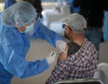 Será requisito que la persona acredite con su credencial del INE que tiene más de 60 años de edad, que muestre un comprobante de residencia en Tlaquepaque. EL INFORMADOR/ F. Atilano