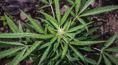 Las + Informador: Las noticias del 10 de marzo de 2021