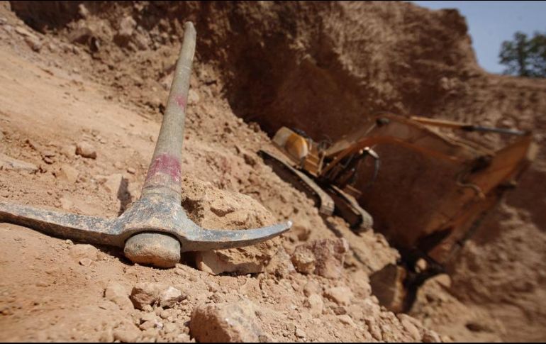 La industria genera 375 mil empleos directos y dos millones de indirectos; hacen un llamado a aumentar la cifra. EL INFORMADOR/ARCHIVO