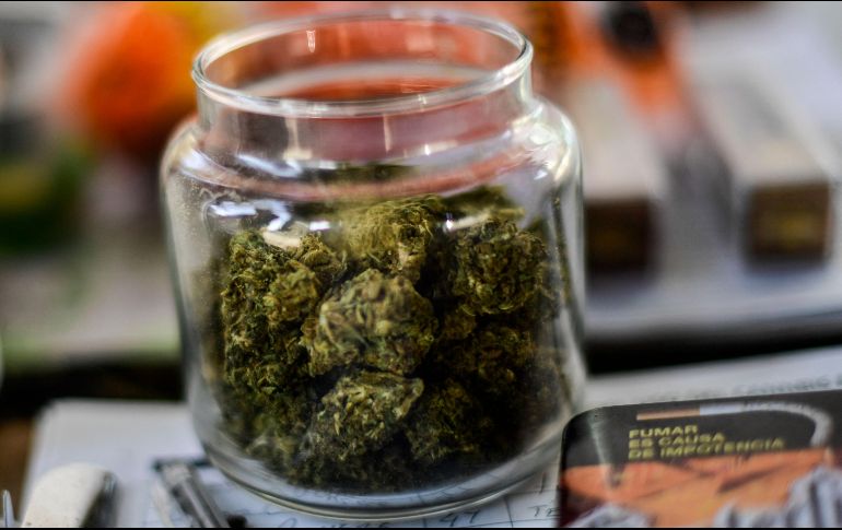 La Cámara de Diputados de México aprobó el 10 de marzo la ley que regula el consumo, el cultivo y el comercio de marihuana con fin lúdico en todo el territorio. AFP/ARCHIVO