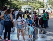 Guadalajara es el municipio con mayor mortalidad ya que ha registrado 4 mil 222 muertes. EL INFORMADOR / ARCHIVO