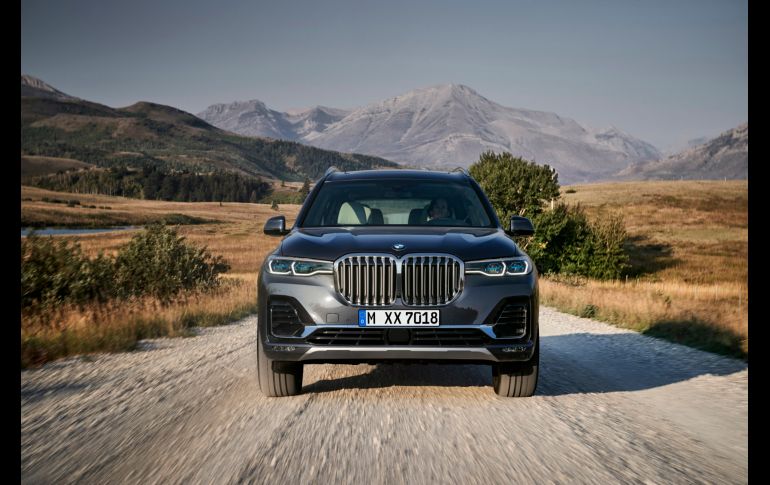 BMW X7 (G07) Y BMW Serie 7 (G11/G12) - 2019