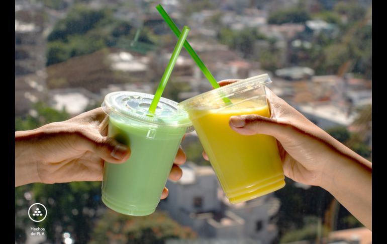 ¿Qué debe tener un producto compostable y cómo funciona?