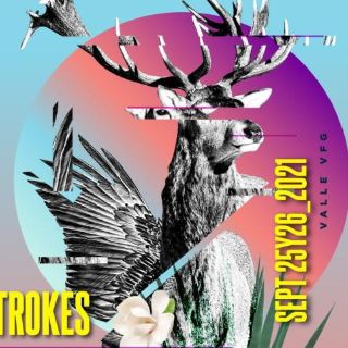 Ocesa desmiente cartel que circula en redes del #CoronaCapitalGDL