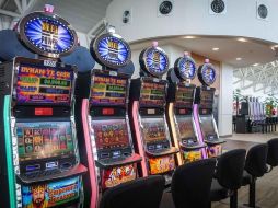 La legislación, consideran, debe garantizar un 