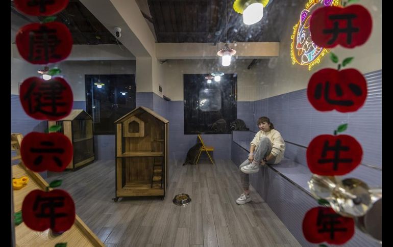 Trabajadores de la cafetería explican a los clientes cómo deben tratar a los animales para que no les den problemas. EFE/A. Plavevski