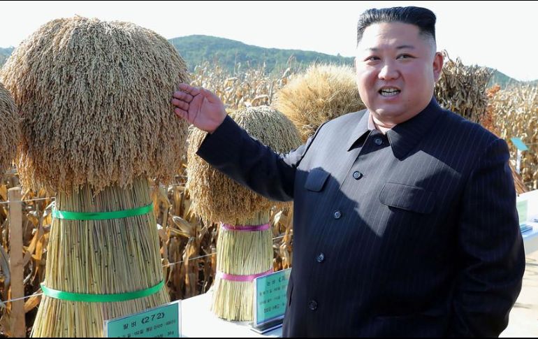 Las relaciones entre Donald Trump y Kim Jong-un quedaron congeladas tras varios intentos de aproximamiento. AFP/ARCHIVO