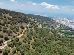 Tlajomulco impulsa la protección de su corredor ecológico