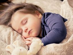 La práctica del sueño es importante para un descanso real al momento de dormir. ESPECIAL / Pixabay / Imagen de Daniela Dimitrova