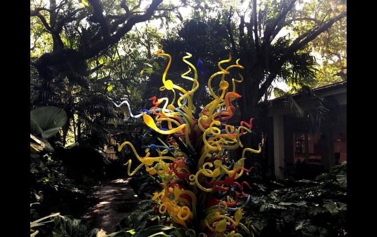 Entre bromelias, arelias, helechos, palmas y otras plantas selváticas reinan las orquídeas traídas desde distintos lugares de los trópicos. EFE/A. Mengotti