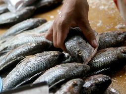 ''Se está engañando a los consumidores de pescado porque se les da especies muy baratas y se les vende como especies mucho más caras'', explican. EL INFORMADOR / ARCHIVO