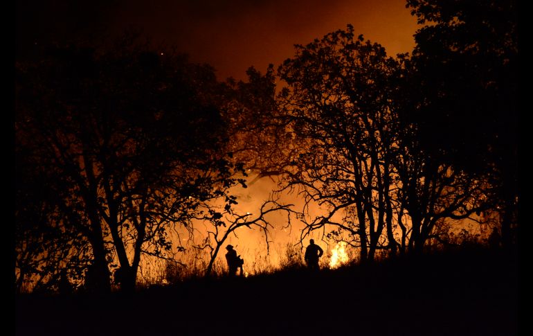 Para la prevención y combate de incendios de este año se ha destinado un recurso de 99 millones 511 mil 305 pesos. ESPECIAL/ Semadet Jalisco