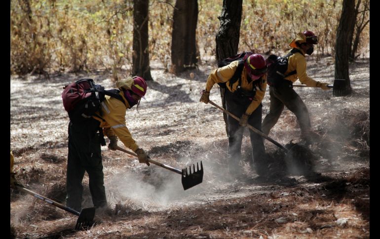 Se ha destinado a la prevención y combate de incendios de este año un recurso de 99 millones 511 mil 305 pesos. ESPECIAL/ Semadet Jalisco