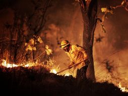 Para la prevención y combate de incendios de este año se ha destinado un recurso de 99 millones 511 mil 305 pesos. ESPECIAL/ Semadet Jalisco
