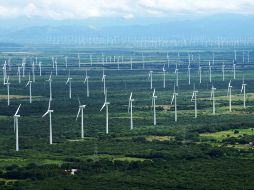 AMLO asegura que en esta reforma eléctrica se garantiza la transición a energías verdes, pero no como 