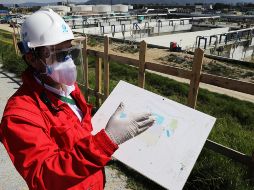 Durante enero de este año el personal ocupado total en la industria de la construcción descendió 0.8%. EFE / ARCHIVO