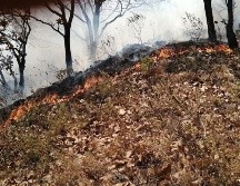 Al inicio del siniestro se complicó por las rachas de viento. ESPECIAL