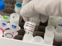 López Obrador indicó que México está envasado la vacuna china de CanSino. AFP / ARCHIVO