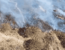 Se contó con el apoyo de dos helicópteros que realizaron 86 descargas a lo largo de ocho horas de vuelo. ESPECIAL / Semadet