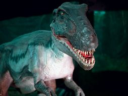 Travesía. El proyecto está conformado por 30 ejemplares con movimientos, sonidos, ambientación, museografía y recorrido hecho por guías, para conocer y ser parte de un viaje a la época de los dinosaurios. EL INFORMADOR • F. Atilano