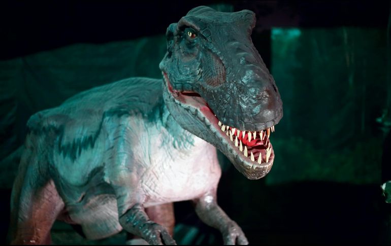 Travesía. El proyecto está conformado por 30 ejemplares con movimientos, sonidos, ambientación, museografía y recorrido hecho por guías, para conocer y ser parte de un viaje a la época de los dinosaurios. EL INFORMADOR • F. Atilano