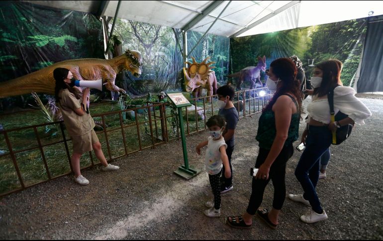 Réplicas perfectas. Los materiales con los que están construidos los dinosaurios mecánicos son realistas, además de contar con sincronización, con sonidos y movimientos, destacando en ojos, boca, cuello, garras y cola. EL INFORMADOR • F. Atilano