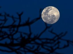 La Luna de gusanos recibe su nombre porque ésta era la época del año en que la tierra comenzaba a ablandarse y, por lo tanto, las lombrices y gusanos de la tierra aparecían. AFP / ARCHIVO