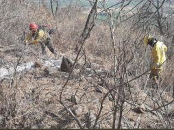 En el paraje Las Antenas, municipio de Tepatitlán, se atiende desde el sábado un incendio que según reportes preliminares ha afectado 70 hectáreas. Cortesía