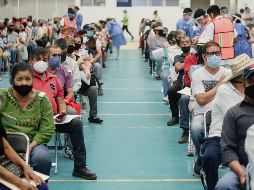 A partir de este lunes se aplicarán dosis del biológico elaborado por el laboratorio Sinovac. EL INFORMADOR / ARCHIVO