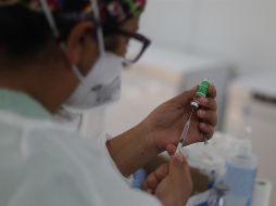 Señalan que la posibilidad de una transmisión directa entre el animal inicial y el hombre es todavía considerada entre 