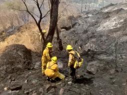 En la zona de Las Cañadas también se afectó un área de diez hectáreas. TWITTER / @UMPCyBZ