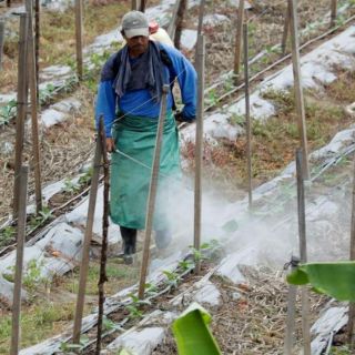 Pandemia dejará cicatrices más profundas en países emergentes: FMI