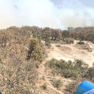Reportan incendio en paraje Las Canoas en Bosque La Primavera