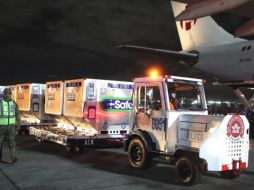 El vuelo AeroUnion 501 llegó proveniente de Chicago, Illinois, Estados Unidos, a la terminal 1 del Aeropuerto Internacional de la Ciudad de México (AICM). TWITTER / @SRE_mx