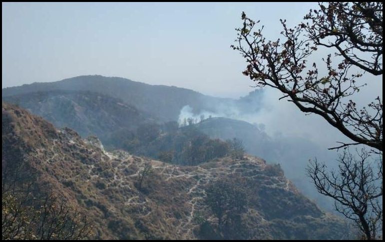A un día de iniciado el combate en La Primavera, los trabajos de atención del incendio continúan. ESPECIAL / Semadet
