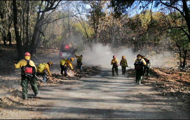 En el Bosque La Primavera se registra un incendio en el que ya combaten más de 500 brigadistas. ESPECIAL / SEMADET