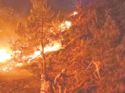 Aún faltan dos frentes para extinguir completamente el incendio vigente en La Primavera. ESPECIAL