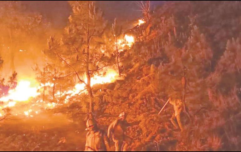 Aún faltan dos frentes para extinguir completamente el incendio vigente en La Primavera. ESPECIAL