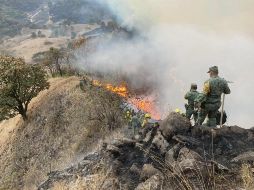 La Conafor informa que 