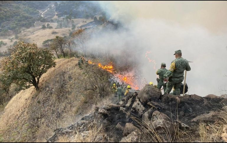 La Conafor informa que 