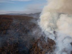 Algunas de las áreas afectadas son Cerro de Nehajuete, Espinazo del Diablo, Las Canoas, Pick Nick, Milpillas, Río Caliente, Cerro de la Bandera y San José de la Montaña. CORTESÍA / Coordinación General de Gestión del Territorio