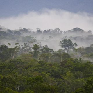 Presiona EU a Brasil por cambio climático