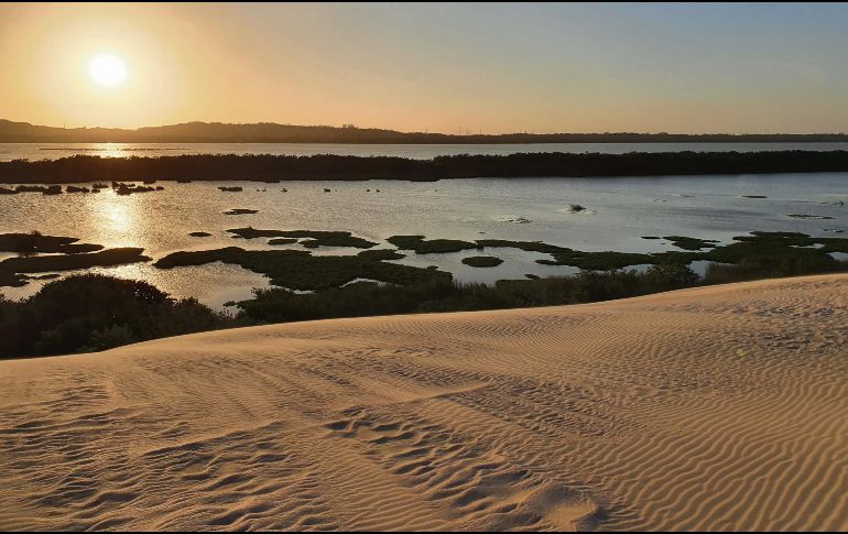 DUNAS DORADAS DE ALTAMIRA. Dueñas de un horizonte de ensueño, en equilibrio absoluto con la naturaleza. EL INFORMADOR• E. Esparza