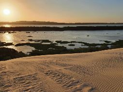DUNAS DORADAS DE ALTAMIRA. Dueñas de un horizonte de ensueño, en equilibrio absoluto con la naturaleza. EL INFORMADOR• E. Esparza